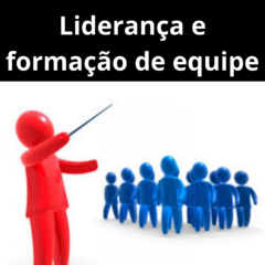 Liderança e Formação de Equipe