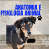 Anatomia e Fisiologia Animal
