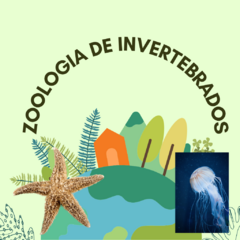 Zoologia de Invertebrados