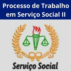 Processo de Trabalho em Serviço Social II