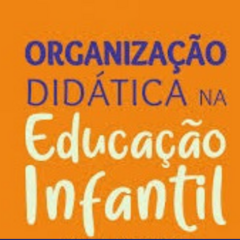 Organização Didática na Educação Infantil