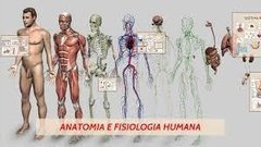 Anatomia e fisiologia humanas