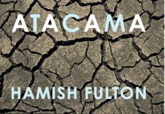 Atacama | Hamish Fulton