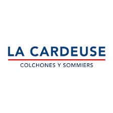 Sommier y Colchón LA CARDEUSE Dofuan 160x200cm RESORTES Pocket - tienda online
