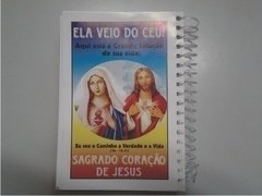 Livro Caminhando Com Maria - 20 unid - comprar online