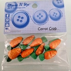 Bt dress it up Carrot crop