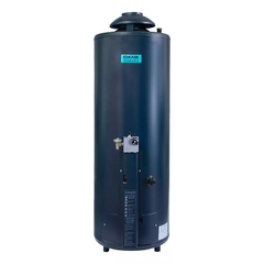 Termotanque Gas Eskabe Acquapiu H1100 SV - 1100 Lts/Hs - Salida Vertical - Multigas