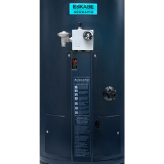 Termotanque Gas Eskabe Acquapiu H1100 SV - 1100 Lts/Hs - Salida Vertical - Multigas - comprar online