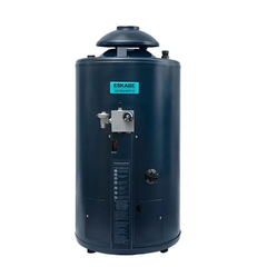 Termotanque Gas Eskabe Acquapiu H700 SV - 700 Lts/Hs - Salida Vertical - Multigas