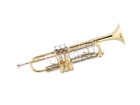 TR500 Cs Bach Trompeta Dorada con Estuche