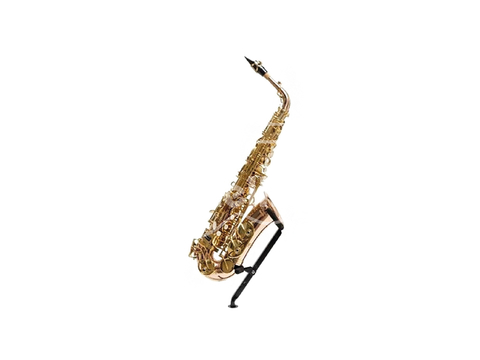 PSARL Parquer Saxo Alto Majestic