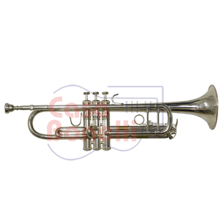Trompeta Plateada con Estuche Bach TR500S