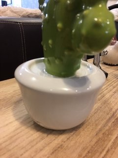 Cactus de Ceramica 20 cm en Maceta - tienda online