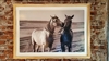 Cuadro pareja 2 caballos blanco y negro playa 104 cm