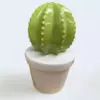 Maceta Con Cactus Ceramica Grande