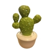 Cactus de Ceramica 20 cm en Maceta