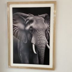 Cuadro cajon elefante marco roble fondo blanco - comprar online