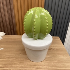 Maceta Con Cactus Grande Ceramica 30 cm x 15 cm - Jaspe Deco