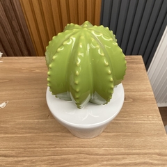 Maceta Con Cactus Grande Ceramica 30 cm x 15 cm en internet