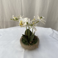 Plantin Artificial Orquidea Maceta De Cemento en internet