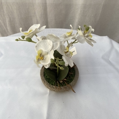 Plantin Artificial Orquidea Maceta De Cemento - comprar online