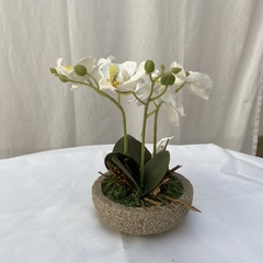 Plantin Artificial Orquidea Maceta De Cemento - Jaspe Deco