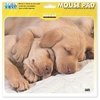 1006-Mouse Pad Labradores - comprar online