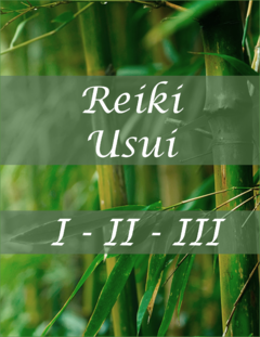 Reiki Usui - Todos los niveles - comprar online