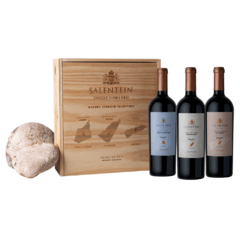 SALENTEIN SINGLE VINEYARD MALBEC TERROIR SELECTION C/ESTUCHE DE MADERA