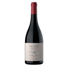 SAURUS SELECT PINOT NOIR - 6 x 750 ml