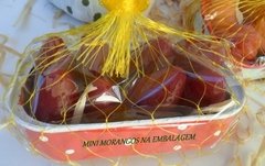 MINI SABONETES DE FRUTAS NA LATINHA 2 UNIDADES - Saboaria Artesanal Preciosidades do Pomar