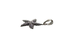 Pingente Estrela do Mar Prata 925 - PGPR0054 - comprar online