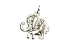 Pingente Elefante Indiano Prata 925 - PGPR0072