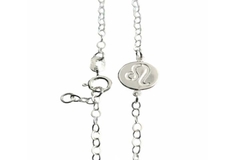 Pulseira Signo de Leão Prata 925 - PLPRF0104 - comprar online