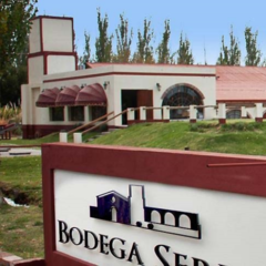 Cabernet Sauvignon Añejo. Familia Serra Pilati de Bodega Boutique LA VIEJA BODEGA. - comprar online
