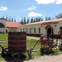 Malbec Boutique, Jòven. Corazón de Mendoza de La Vieja Bodega. - comprar online