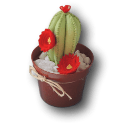 Vaso de Cactus Taberna