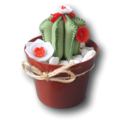 Vaso de Cactus Carcross
