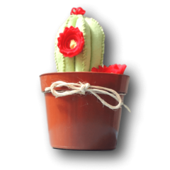 Vaso de Cactus Taberna - comprar online