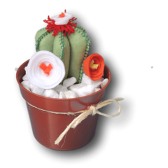 Vaso de Cactus Alvord