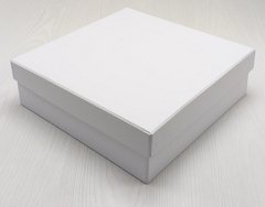 Caixa 23X23X7 Lisa C/Tampa Solta - comprar online