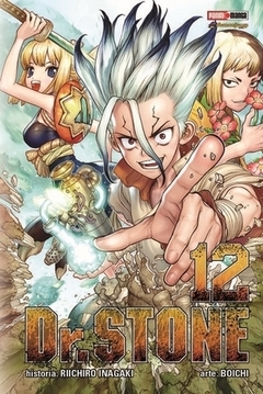 DR STONE 12