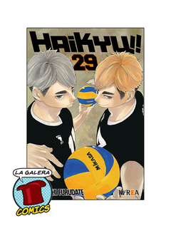 HAIKYU!! #29