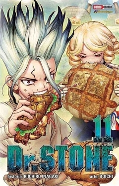 DR STONE 11