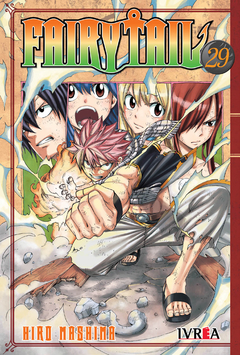 FAIRY TAIL 29