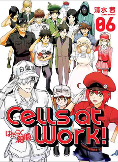 CELLS AT WORK! 6 (ULTIMO TOMO)