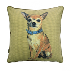 Capa para Almofada Estampada Cães & Gatos - Chihuahua - 50x50cm