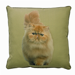 Capa para Almofada Estampada Cães & Gatos - Gato Persa - 50x50cm - comprar online