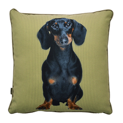 Capa para Almofada Estampada Cães & Gatos - Basset Preto - 50x50cm - comprar online