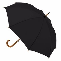 Paraguas Ejecutivo 301 en internet